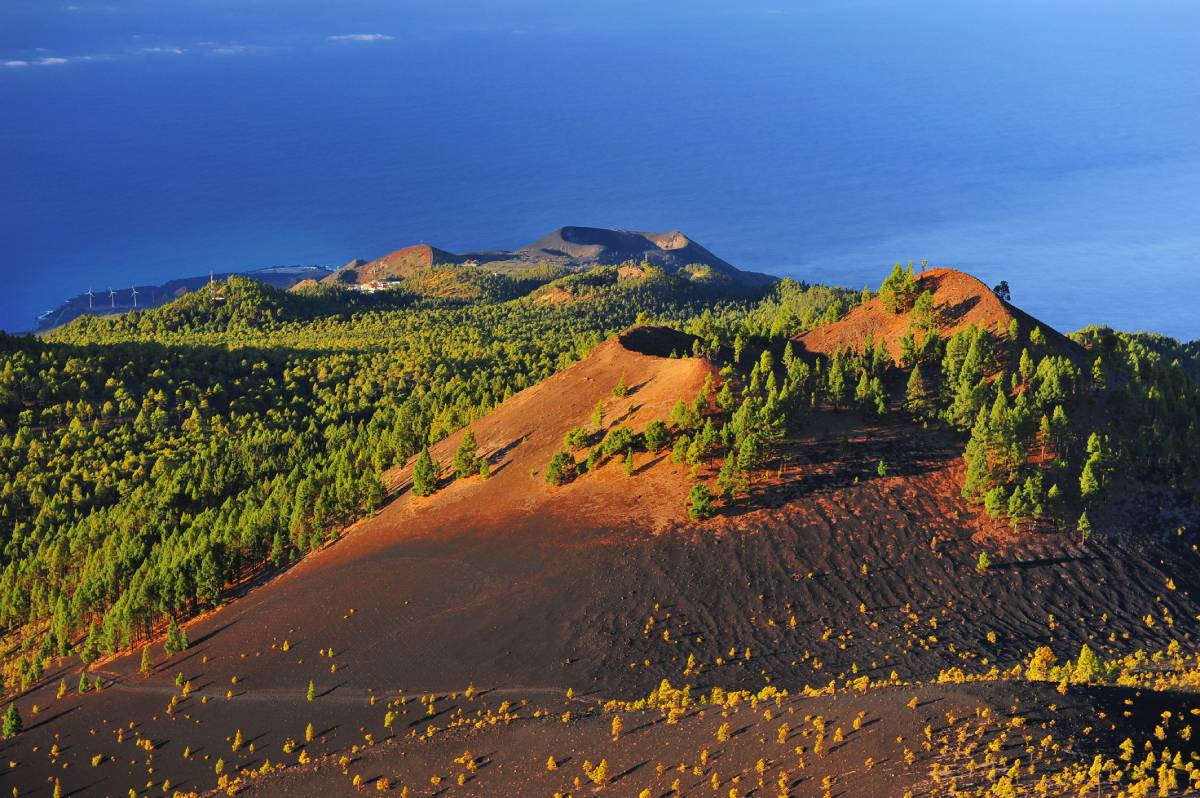Paysage volcanique de La Palma aux Canaries avec cratère, coulées de lave et végétation verte